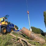 tala y apeo con grúa de 100 toneladas