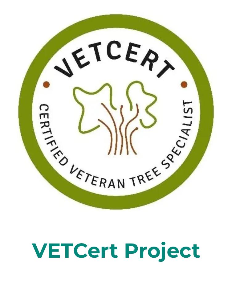 PROYECTO VERTCERT