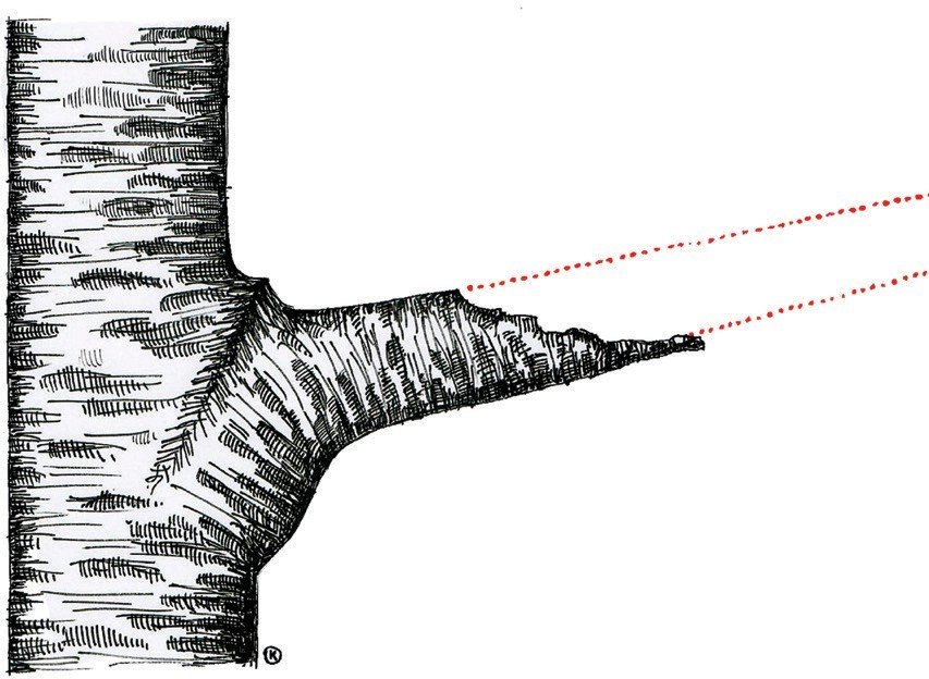 IMAGEN 12: Corte con desgarro.