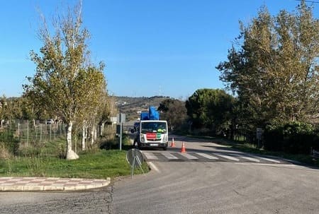 Trabajos de poda en altura con cesta elevadora