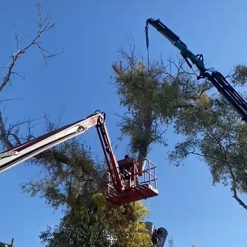 Instagram post from naturclimb. This post is in position 17.