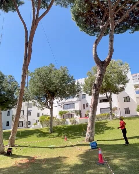 Instagram post from naturclimb. This post is in position 6.