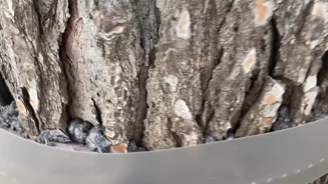 Instagram post from naturclimb. This post is in position 12.