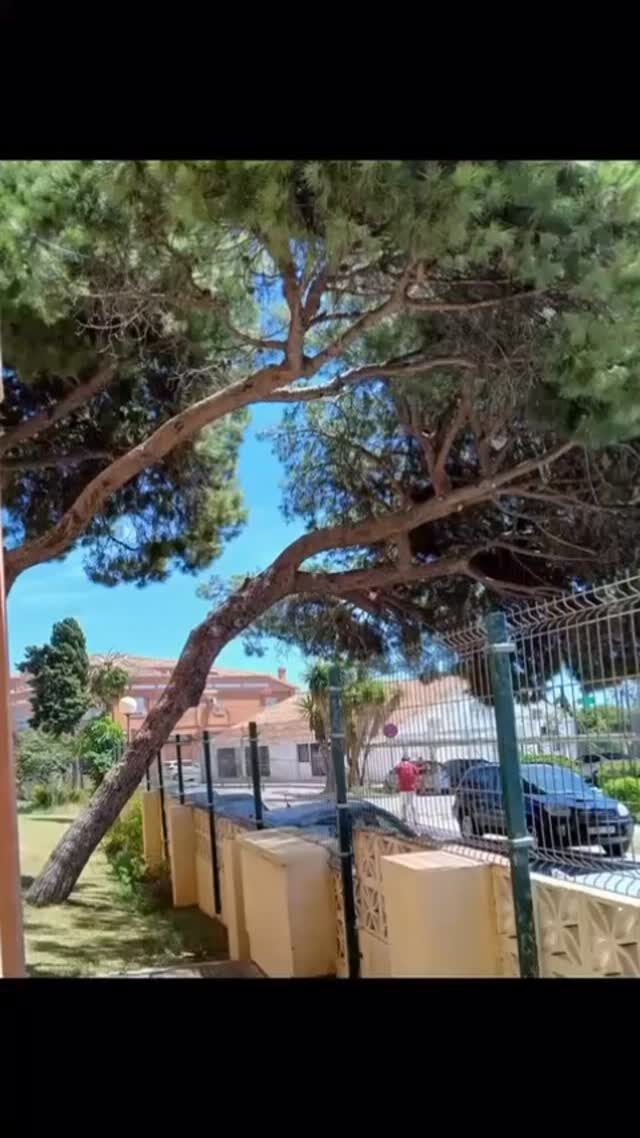 Instagram post from naturclimb. This post is in position 2.